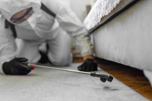 Professional Bed Bug Control technician working in Shawneetown, IL