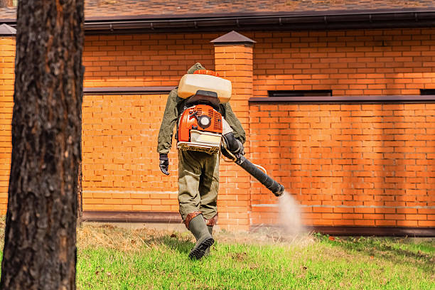 Trusted Mosquito Control service in Shawneetown, IL - Nex Pest Control